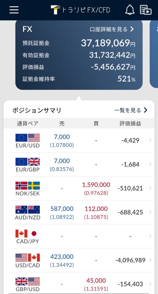 2025年3月証拠金維持率と評価損(ポジションサマリー)