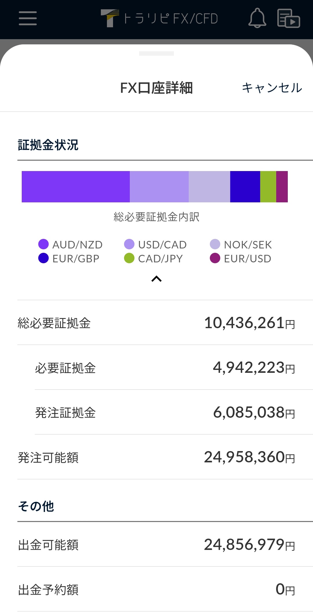 証拠金状況2025年5月