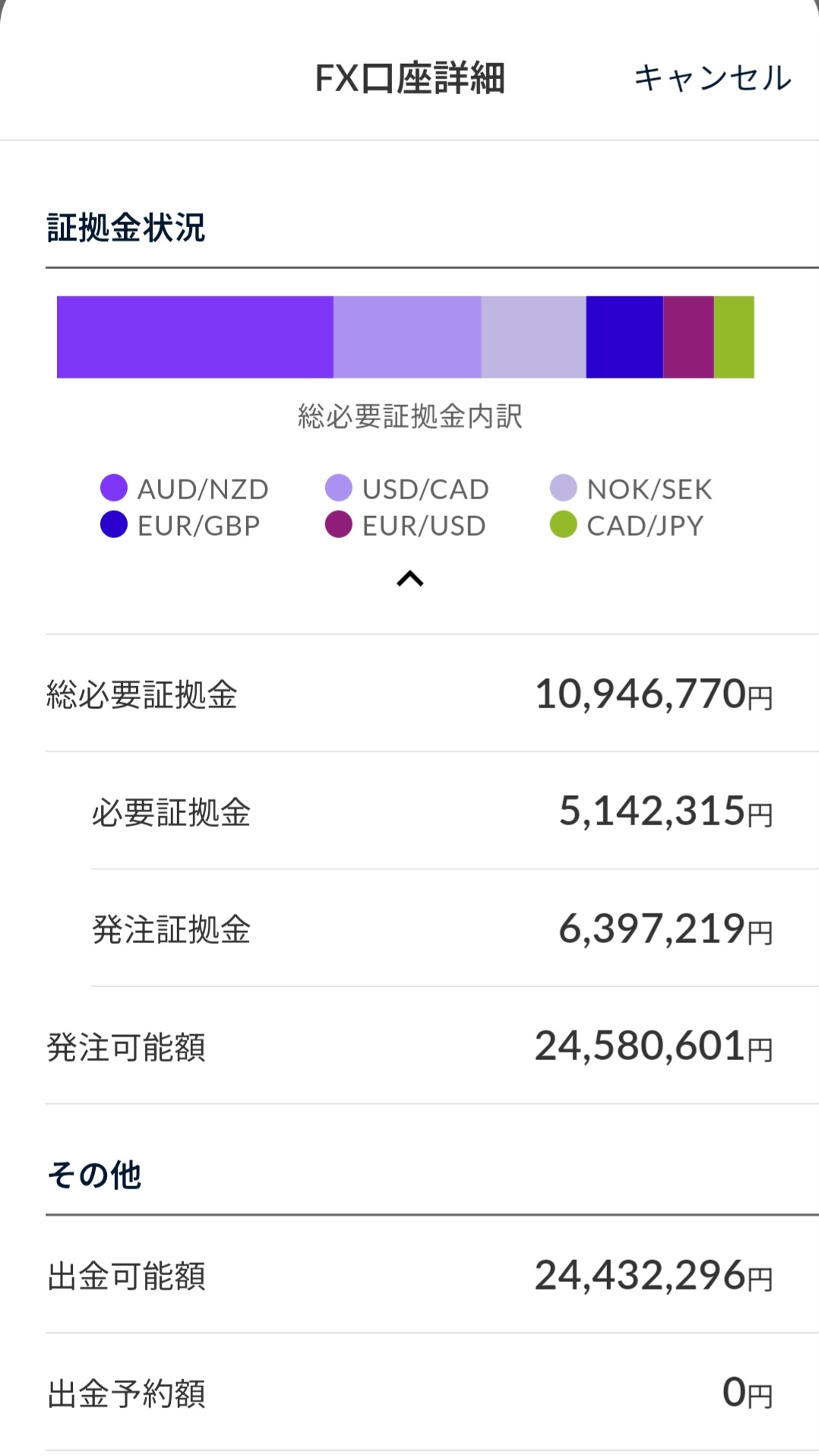 証拠金状況2025年6月