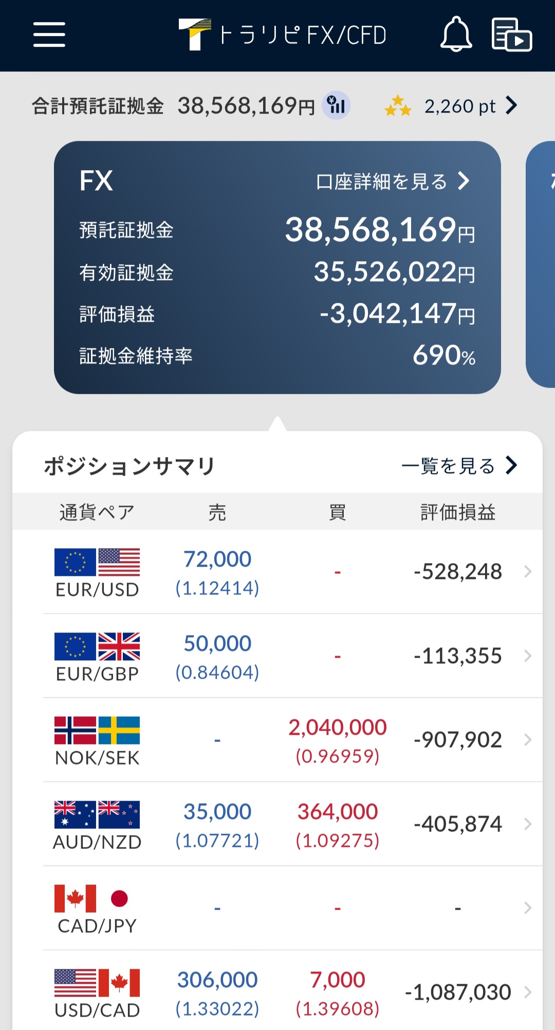 ポジションサマリ（通貨別評価損益）2025年6月