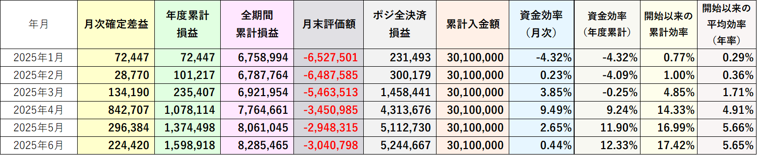 資金効率（評価損益込み）2025年6月