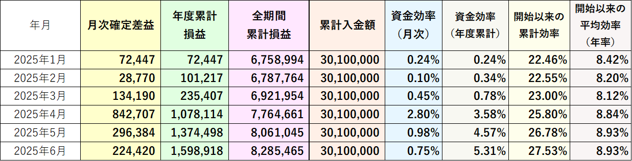資金効率（評価損益なし）2025年6月