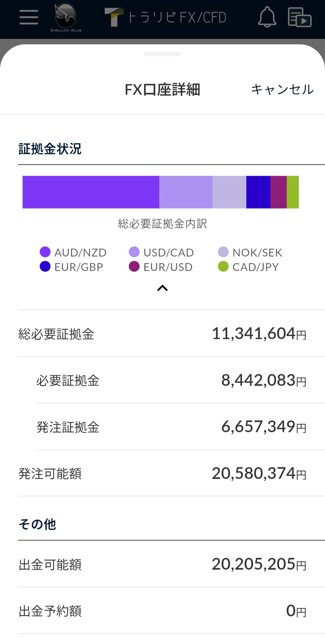 証拠金状況2025年10月